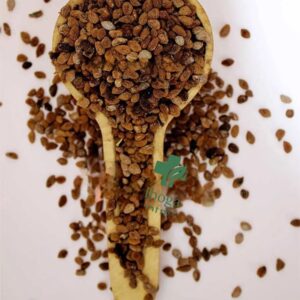 IBOGA SEEDS