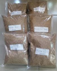 Ibogaine Root bark