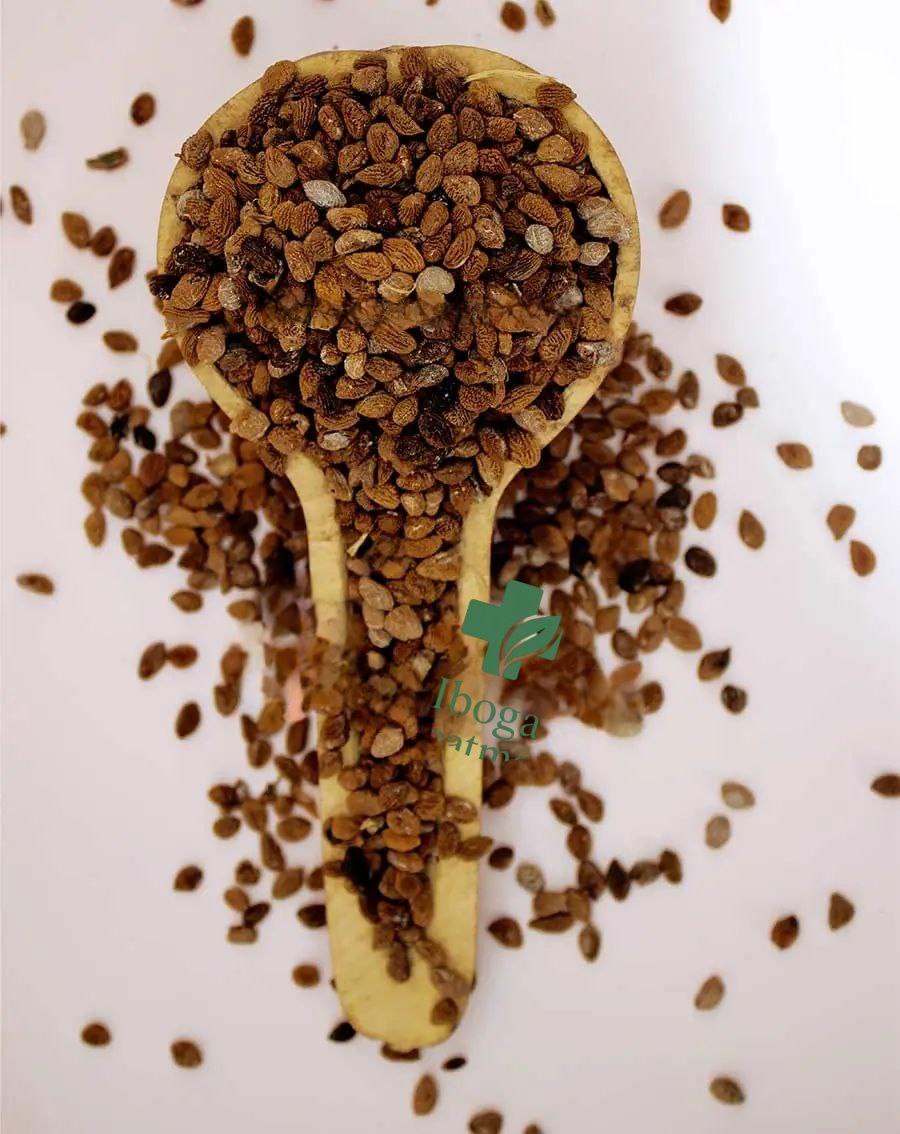 Ibogaine Seeds